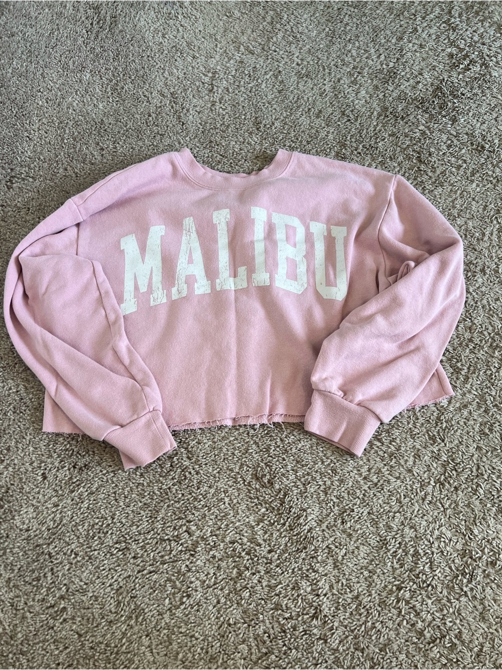 Malibu Cropped Crewneck Sweatshirt - Pink